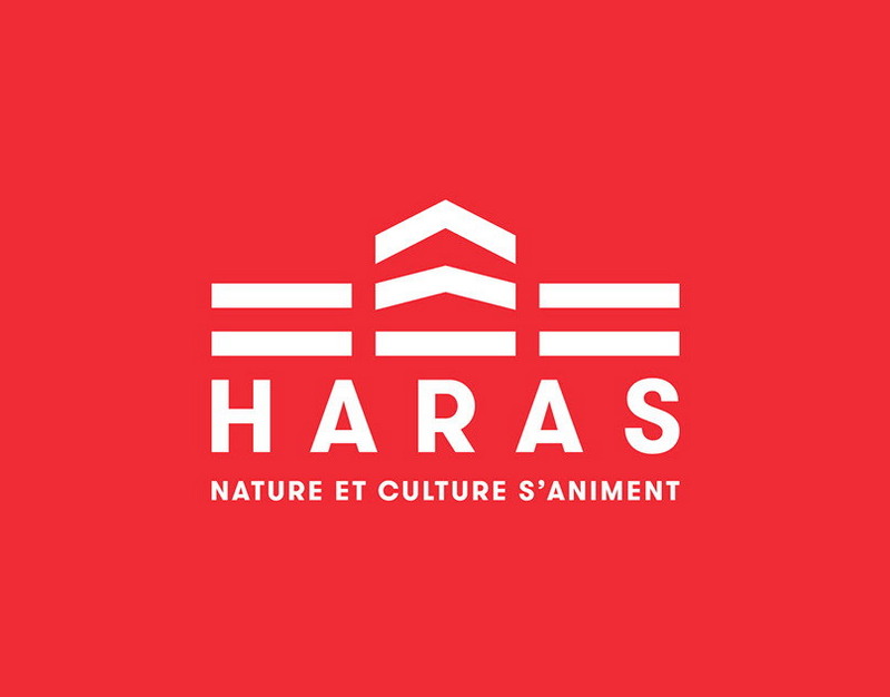 Модернизированные углеродные молекулы повышают безопасность, долговечность и мощность батарей